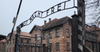 FACT CHECK: Yes, transgender people were victims of the Holocaust.